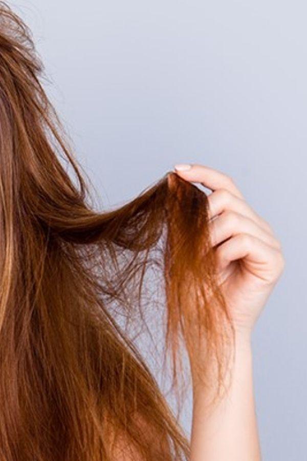 A Guide to Dry Hair Treatment - Nutree Cosmetics