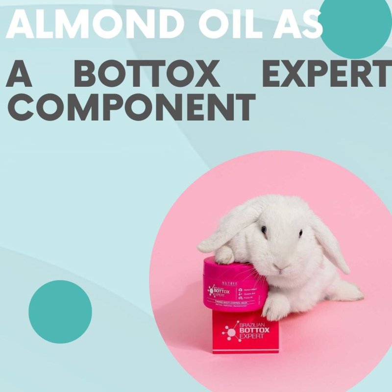 Almond oil as Bottox Expert component: benefits - Nutree Cosmetics