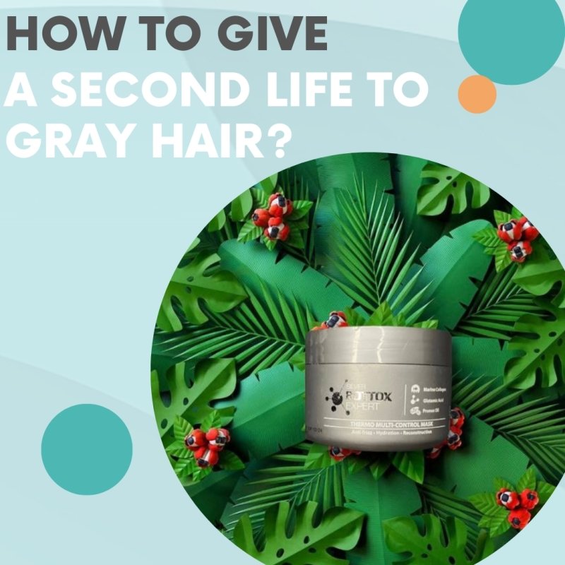 How to give a second life to gray hair? - Nutree Cosmetics